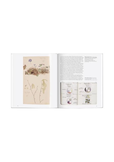 Taschen Hilma Af Klint Basic Art 9783836599030
