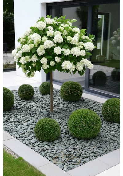Green Angel Dolomit Çakıl Taşı Yeşil Beyaz Çizgili 1-2 Cm 5 Kg Dekoratif Bahçe Saksı Akvaryum Taşı