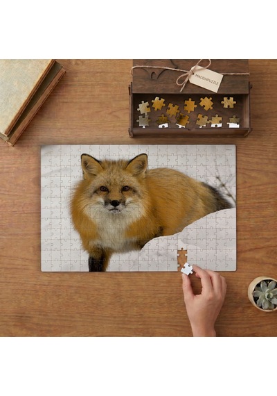 Karda Yatak Tilki Tasarımı 240 Parça Ahşap Puzzle Ahşap Kutuda Mpy60033