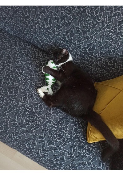Yeşil Balık - Kedi Naneli Catnipli & Kedi Zilli Kedi Oyuncağı Kedi Yastığı - Dino Pet Oyuncak