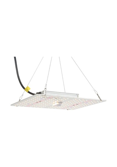 Harvest Master Quantum Board 100W Eco