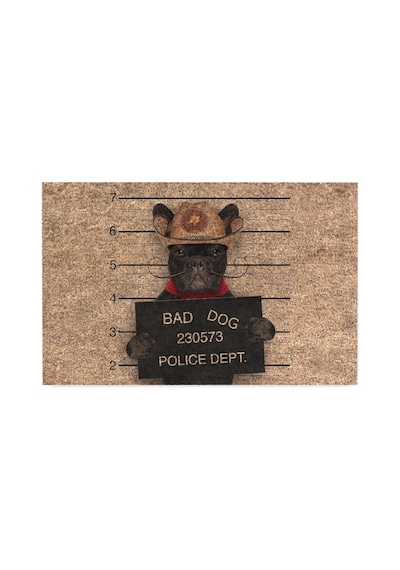 Tr Kapı Önü Paspası - Modern Ve Şık Kapı Paspası Ev, Ofis Ve Dış Mekân Kullanımı İçin Bad Dog 45x65 Genel