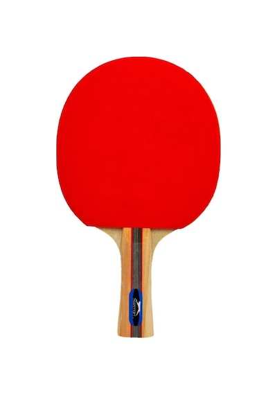 Slazenger Champion Ittf Onaylı Masa Tenis Raketi 7695657787332