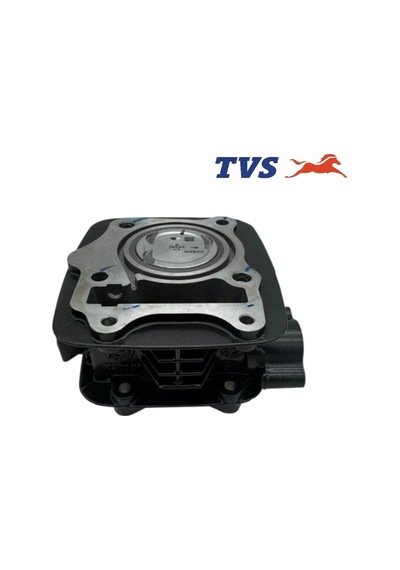 Tvs Silindir Komple N6321850  - Tvs Raider 125