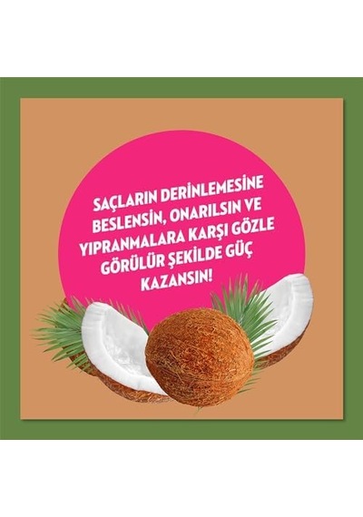 Doğanın Enerjisi Saç Bakım Şampuanı Hindistan Cevizi Yağı Onarıcı & Yıpranma Karşıtı 400 Ml