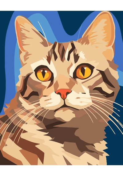 Sayılarla Boyama Numaralı Tuval Seti Boya Fırça Dahil 40x50 Cm Kedi Portresi