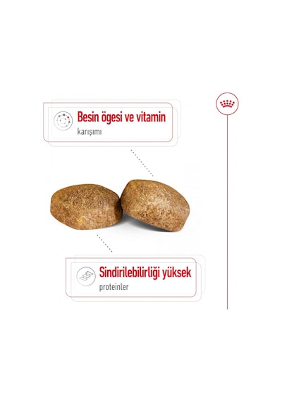 Royal Canin Giant Dev Irk Yetişkin Köpek Maması 15 KG