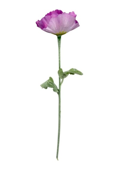 Yapay Çiçek Gelincik Çiçeği Tek Dal Lila Renk 45cm