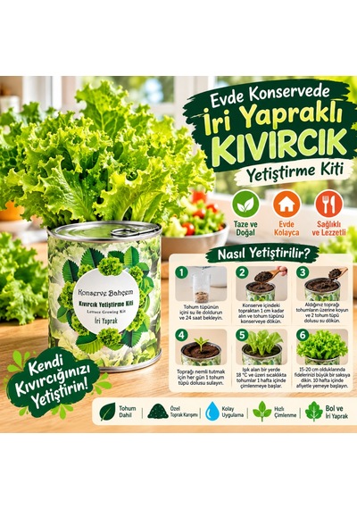 Konserve Bahçem Evde Konservede İri Yapraklı Kıvırcık Yetiştirme Kiti Aklby-bsva58 Diğer