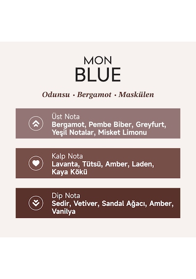 Mad Mon Blue Erkek Parfüm EDP 100 ML