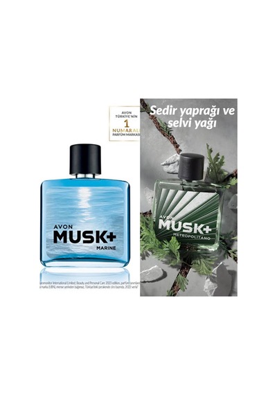 Musk Marine Erkek Parfüm Edt 75 Ml Avon Musk Metropolitano Edt 75ml 2li Erkek Set Odunsu