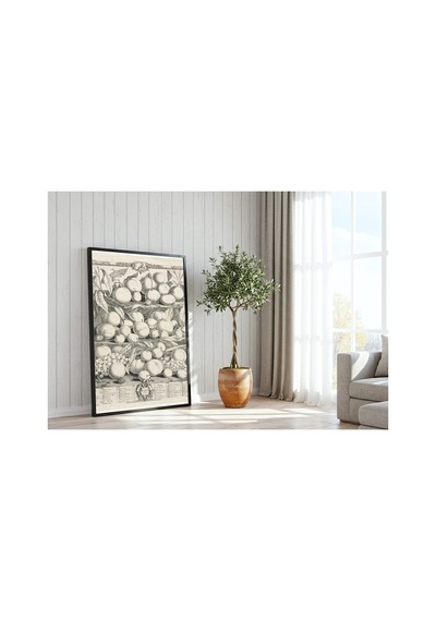 Botanik Fletcher Meyve Ayları Ağustos Çerçevesiz Poster 21x30 Cm A4 Botanik Doğa Tarihi Duvar Dekoru