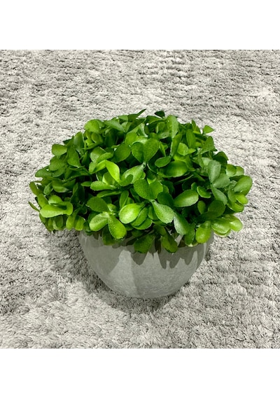 Modern Gri Saksılı Yapay Yeşil Bitki - Yaşam Alanınıza Doğal Dokunuş 13x17 Cm Yeşil