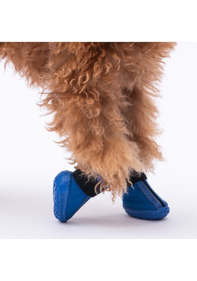 Pawstar Mavi Köpek Ayakkabısı