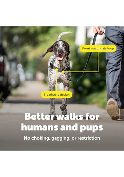 Easy Walk No-pull Köpek Koşum Takımı - Çekmeyi Durdurmaya Yardımcı Olacak Nihai Koşum Takımı - Kontrolü Ele A Genel