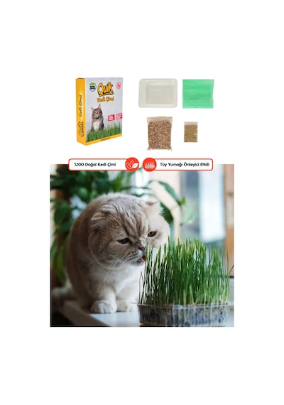 3 Adet Doğal Kedi Çimi Fileli Ve Kutulu Tüy Yumağı Önleyici