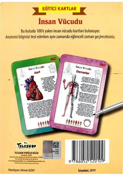 İnsan Vücudu Eğitici Kartlar - Etkinlik Kartları