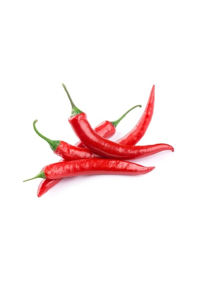 Şili Biber Tohumu Çok Acı Chili Biber Tohumu Yetiştirme Kiti
