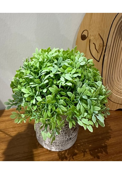 Dekoratif Yapay Bitki Seti - Saksıda Gerçekçi Yeşillik - 17 Cm Yeşil