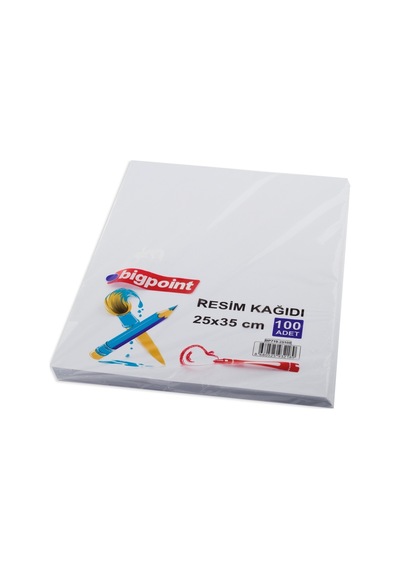 Bigpoint Resim Kağıdı 25x35cm 200'lü Paket