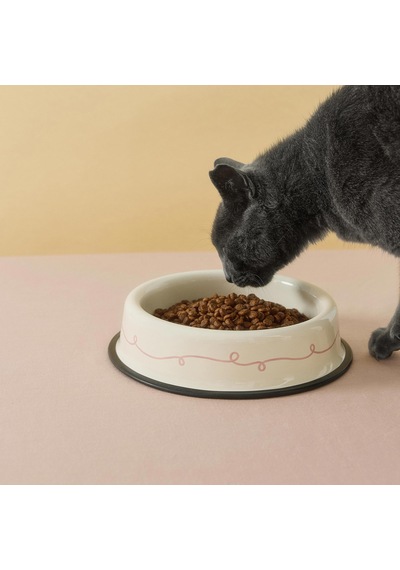 Rebel Bow Emaye Kedi Köpek Mama Kabı