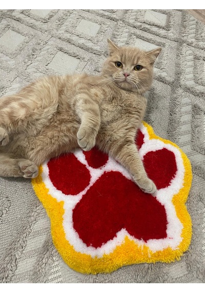 Kirbi Kedi Patisi Süs Halı Çok Renkli