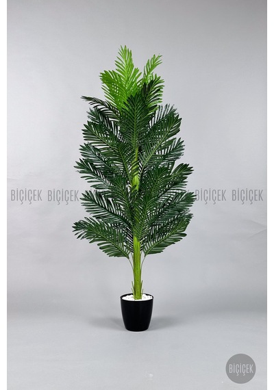 Yapay Areka Ağacı 160-180 Cm Bey
