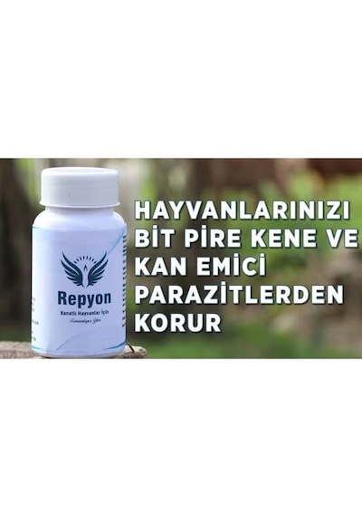 Repyon Bi̇t i 100gr