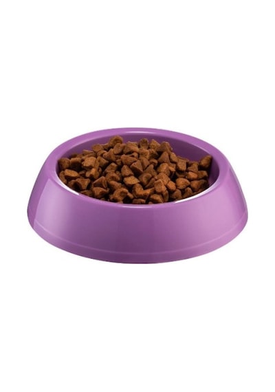 Büro Ev Evcil Hayvanı İçin Büyük Oval Kedi Köpek Mama Kabı