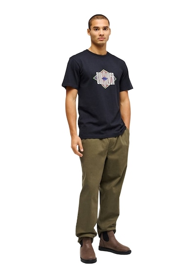 Quıksılver Quiksilver Taxerregultwill Erkek Yeşil Pantolon 6490