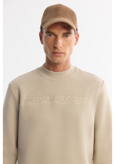 Avva Erkek Taş Bisiklet Yaka 3 İplik Şardonlu Baskılı Regular Fit Sweatshirt A42y1306