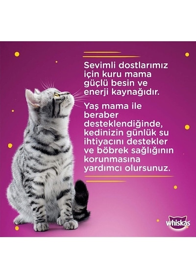 Dreamies Dreamıes Tavuklu Kedı Odulu Maması 60 Gr X 6 Adet