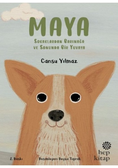 Maya - Sokaklardan Barınağa Ve Sonunda Bir Yuvaya - Rxlu-593975