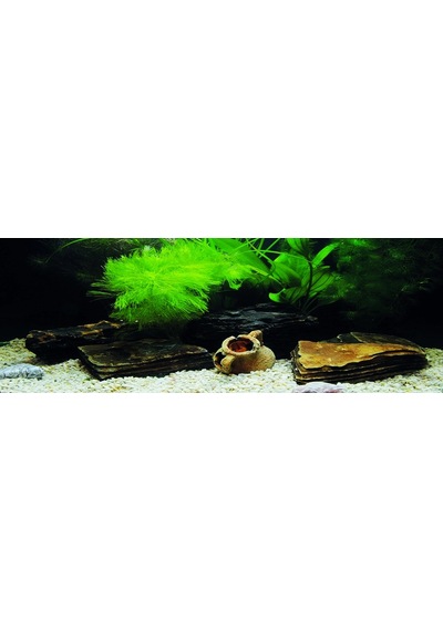 Kanki Pet Kp18565033 Akvaryum Arka Fon Yapıştırma 185 X 65 Cm