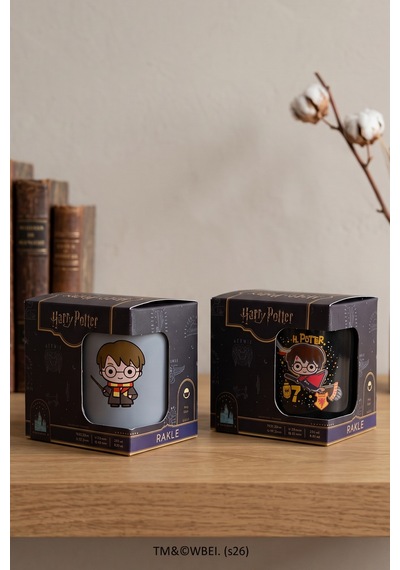 Harry Potter 2'li Kupa Seti 250 Cc Çok Renkli