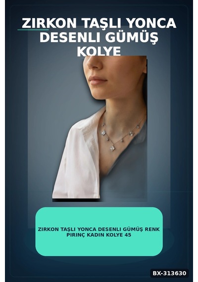 Bay Zirkon Taşlı Yonca Desenli Gümüş Renk Pirinç Kadın Kolye 45 Cm Zincirli Bx-313630 Najmaddin Standart
