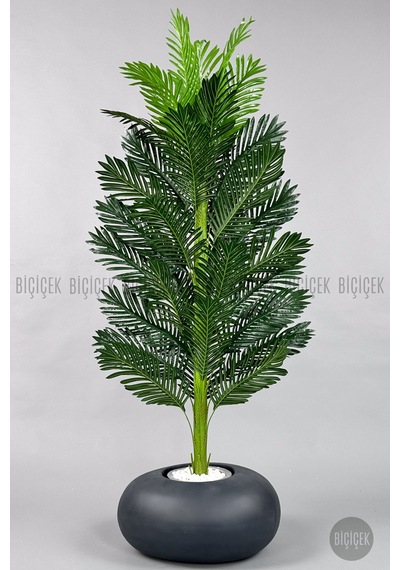 Yapay Areka Ağacı 160-180 Cm No Color
