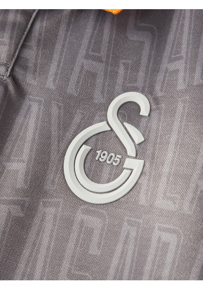 Gsstore Galatasaray Match Day Polo T-shirt C251319 Gri