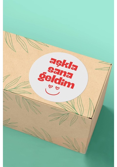 Aşkla Sana Geldim Sticker 3x3cm St2263 Çok Renkli