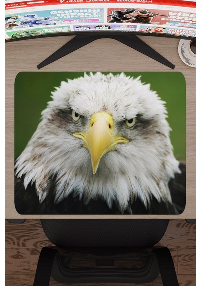 Kartal Kaymaz Dikişli Kauçuk Oyuncu Mousepad V1 - 48x40 Xl Gaming Mouse Pad Fare Altlığı