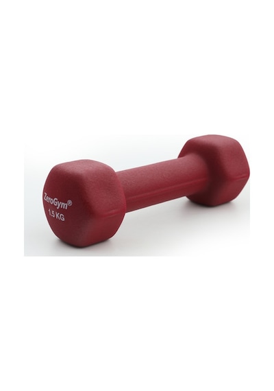 Zerogym Neopren Kaplı İçi Demir Dambıl 1,5 Kg Mor 1 Adet