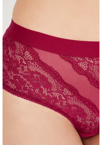Cottonhill Dantelli Arkası Transparan Büyük Beden Bikini Külot 3'lü Paket Çok Renkli 2