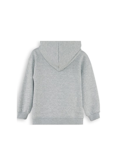 Denokids Dinozor Erkek Çocuk Fermuarlı Kapüşonlu Sweatshirt - Gri