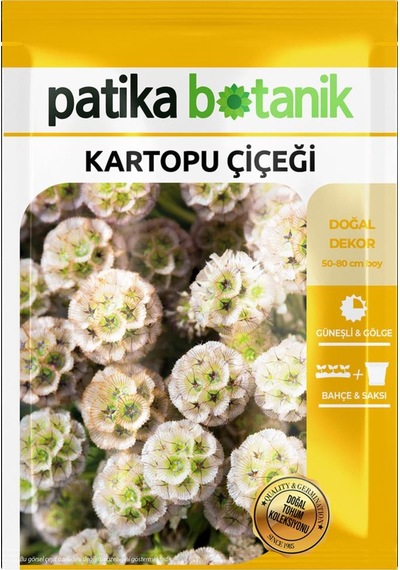 5 Adet Kartopu Çiçeği Tohumu