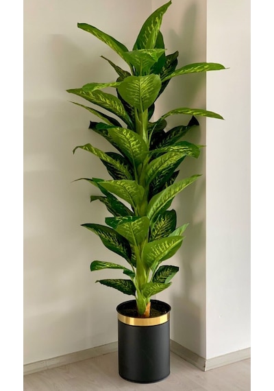 Rüzgar Yapay Çiçekçilik 40x30 Siyah Gold Saksıda Difenbahya Ağacı Yeşil