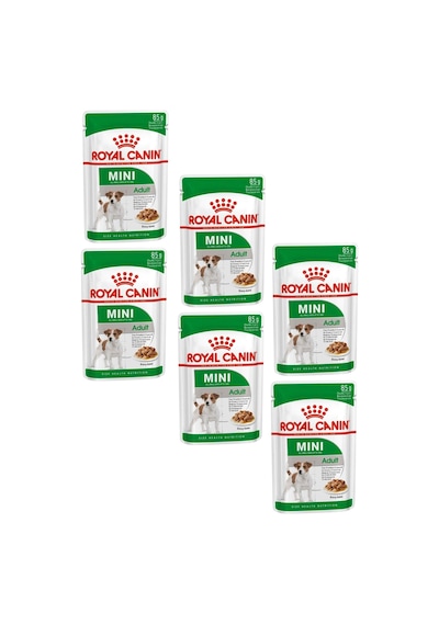 Royal Canin Mini Adult Soslu Konserve Küçük Irk Yetişkin Köpek Maması 6 x 85 G