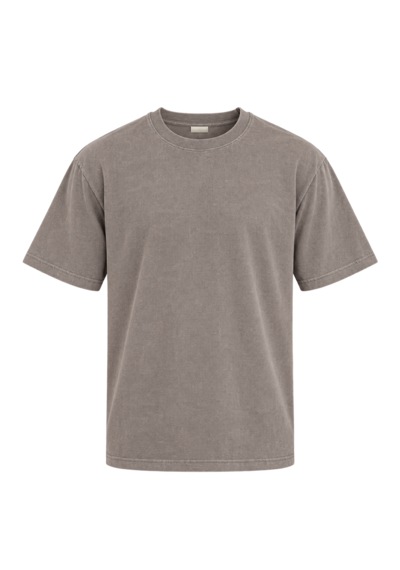 Vasto Moda Erkek Oversize Kalın Dokulu %100 Organik Pamuk Bisiklet Ribana Yakalı Kahverengi T-shirt