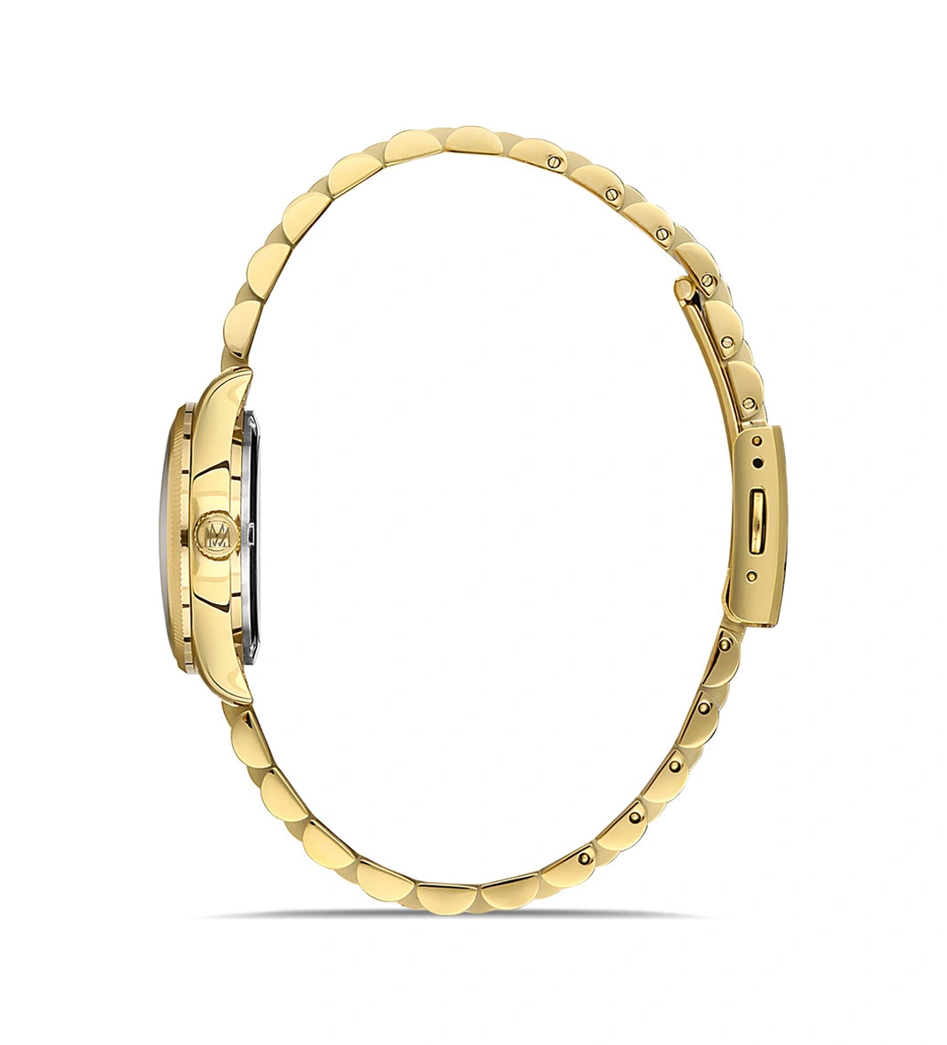 Momentus Cw139g-15sg Gold