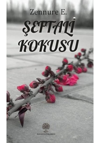 Kitap11 Şeftali Kokusu