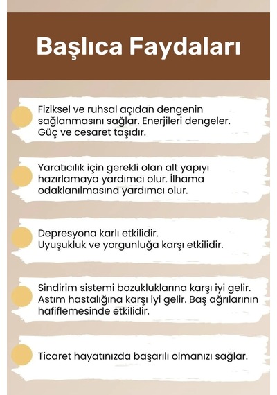 Enenstyle Fashıon Boutıqueunisex Akrep Burcu Enerjisini Yükselten Doğal Taş Bileklik Akrep Burçları Için Burç Taşı Bileklik Çok Renkli Çok Renkli